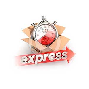 3d express delivery concept